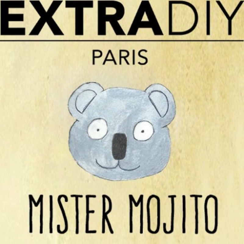 Concentré Mister Mojito - ExtraDiy