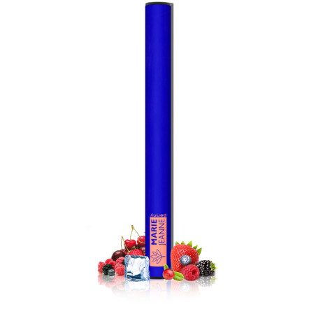 Vape Pen CBD Penny Ice Fruits - Marie Jeanne