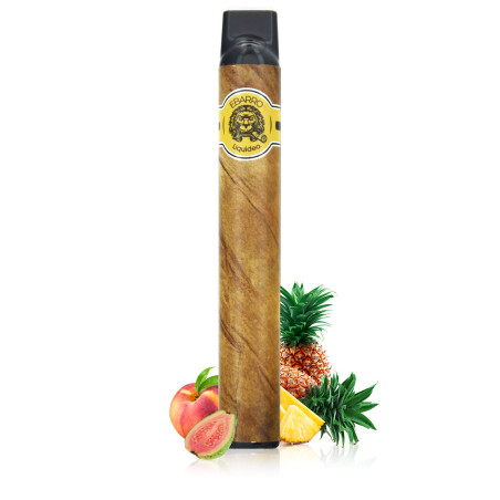 Wpuff Hawai Hookah Ebarro - Liquideo