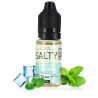 E-liquide Menthe Polaire Salty - Savourea