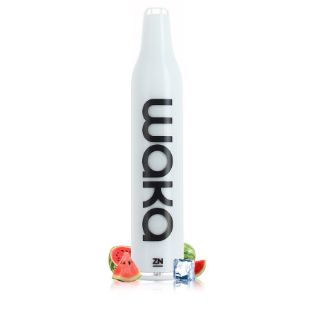 Puff Pastèque Waka Mini - RELX