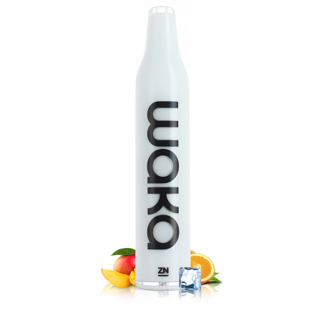 Puff Mangue Orange Waka Mini - RELX