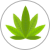 CBD