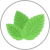 Mentholée